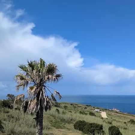 Ocean View In Nazaré